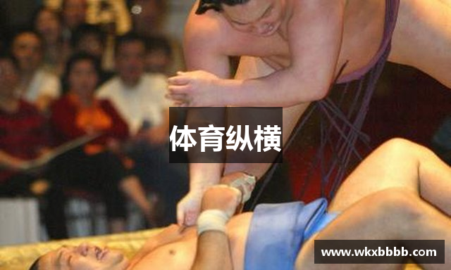 体育纵横